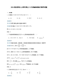 2024届北京市人大附中高三10月质量检测练习数学试题含解析