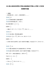 2024届上海市华东师范大学松江实验高级中学高三上学期10月阶段检测数学试题含解析