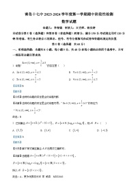 山东省青岛市第十七中学2023-2024学年高一上学期期中数学试题(解析版)