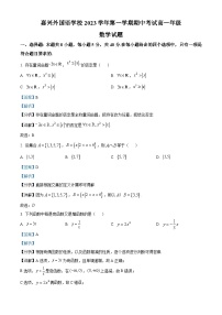 浙江省嘉兴外国语学校2023-2024学年高一数学上学期期中试题（Word版附解析）