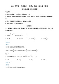 浙江省温州十校联合体2023-2024学年高二数学上学期期中联考试题（Word版附解析）