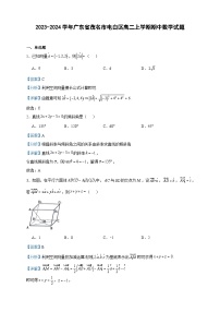 2023-2024学年广东省茂名市电白区高二上学期期中数学试题含答案