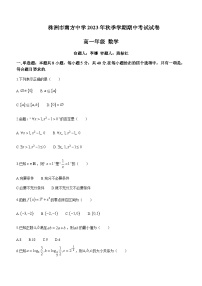 2023-2024学年湖南省株洲市南方中学高一上学期期中数学试题含答案