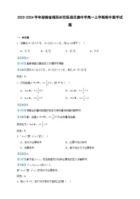 2023-2024学年湖南省湘西州花垣县民族中学高一上学期期中数学试题含答案