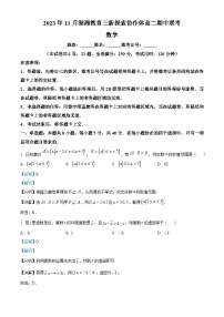 湖南省湖湘教育三新探索协作体2023-2024学年高二数学上学期11月期中联考试题（Word版附解析）