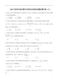 2024年新高考地区数学名校地市选填压轴题好题汇编（六）