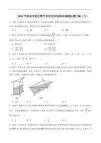 2024年新高考地区数学名校地市选填压轴题好题汇编（五）