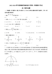 江苏省南京市南航附属高级中学2023-2024学年高一上学期期中数学试题（原卷及解析版）