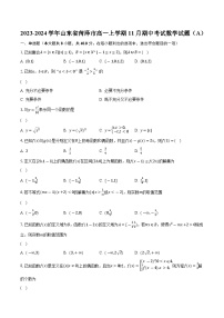 2023-2024学年山东省菏泽市高一上学期11月期中考试数学试题（A）(含解析 )