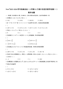 2023-2024学年海南省高一上学期11月期中阶段性教学检测（一）数学试题（含解析）