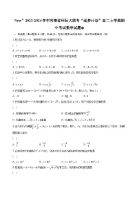 2023-2024学年河南省环际大联考“逐梦计划”高二上学期期中考试数学试题（含解析）