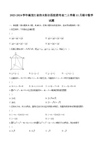 2023-2024学年黑龙江省佳木斯市四校联考高二上学期11月期中数学试题（含解析）