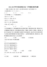 2022-2023学年甘肃省酒泉市高一下学期期末数学试题（含解析）