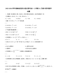 2023-2024学年湖南省岳阳市岳汨联考高一上学期11月期中联考数学试题（含解析）