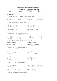 江苏省宿迁市泗阳县泗阳中学2023-2024学年高一上学期期中数学试卷(含答案)
