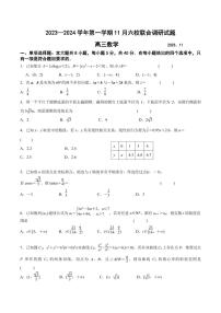 江苏南京六校联合体2024届高三上学期11月期中数学试题（含答案）