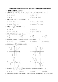 安徽省合肥市庐阳区2023-2024学年高三上学期数学期末模拟测试卷
