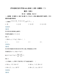 四川省泸州市泸州老窖天府中学2024届高三一模数学(文)试题（二）（Word版附解析）