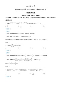 四川省绵阳市南山中学2023-2024学年高三上学期12月月考数学（文）试题（Word版附解析）