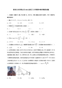 黑龙江省双鸭山市2024届高三上学期期中数学模拟试题（含答案）