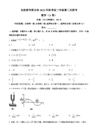 2024湖南省名校联考联合体高二上学期第三次联考数学试题含解析