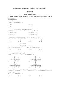 四川省绵阳市2024届高三上册12月月考数学（理）模拟试题（附答案）