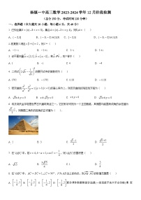 北京市顺义区杨镇第一中学2023-2024学年高三上学期12月阶段测试数学试题