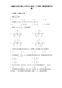 安徽省合肥市第六中学2022届高三上学期一模理科数学试题