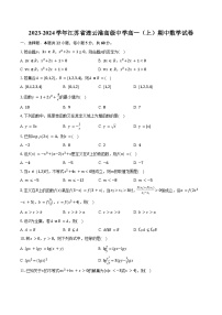 2023-2024学年江苏省连云港高级中学高一（上）期中数学试卷（含解析）