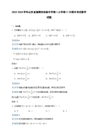 2023-2024学年山东省淄博市实验中学高一上学期11月期中考试数学试题含答案