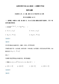 2023-2024学年四川省宜宾市宜宾四中高一上学期期中数学试题含答案