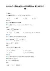 2023-2024学年黑龙江省大庆市大庆外国语学校高一上学期期中数学试题含答案