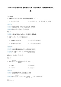2023-2024学年四川省宜宾市兴文第二中学校高一上学期期中数学试题含答案