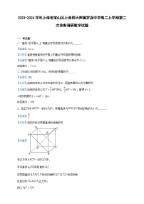2023-2024学年上海市宝山区上海师大附属罗店中学高二上学期第二次诊断调研数学试题含答案
