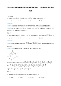 2023-2024学年安徽省芜湖市安徽师大附中高二上学期12月测试数学试题含答案