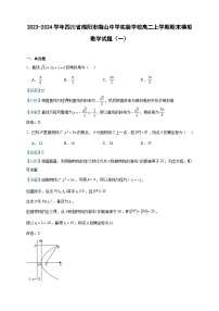 2023-2024学年四川省绵阳市南山中学实验学校高二上学期期末模拟数学试题（一）含答案