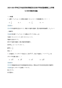 2023-2024学年辽宁省沈阳市浑南区东北育才学校试验部高二上学期12月月考数学试题含答案