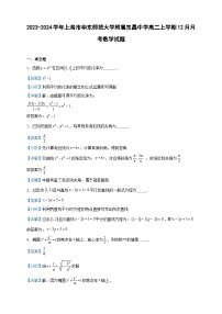 2023-2024学年上海市华东师范大学附属东昌中学高二上学期12月月考数学试题含答案