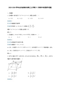 2023-2024学年山东省泰安市高二上学期11月期中考试数学试题含答案