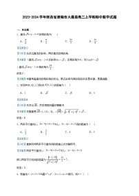 2023-2024学年陕西省渭南市大荔县高二上学期期中数学试题含答案