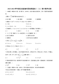 2023-2024学年湖北省恩施州四校联盟高二（上）期中数学试卷（含解析）