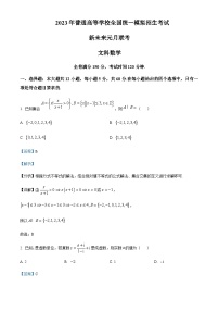 2023届河南省实验中学大联考高三1月测试文科数学试卷含答案