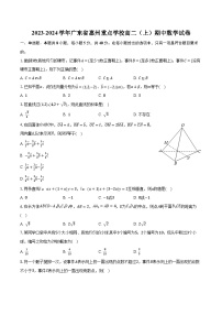 2023-2024学年广东省惠州重点学校高二（上）期中数学试卷（含解析）