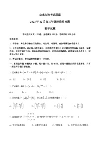 2024届山东省实验中学名校考试联盟高三上学期12月阶段性检测数学word版含答案