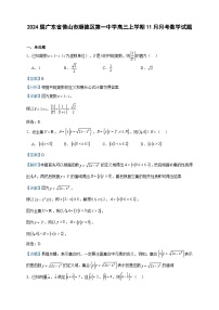 2024届广东省佛山市顺德区第一中学高三上学期11月月考数学试题含答案