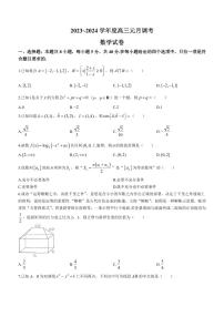 湖北省武汉市江岸区2023-2024学年高三上学期元月调考数学试题