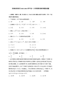 甘肃省酒泉市2023-2024学年高一上册期末数学检测试卷（附答案）