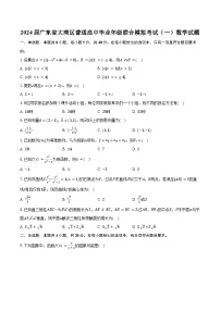 2024届广东省大湾区普通高中毕业年级联合模拟考试（一）数学试题(含解析）