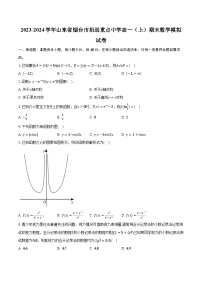 2023-2024学年山东省烟台市招远重点中学高一（上）期末数学模拟试卷（含解析）