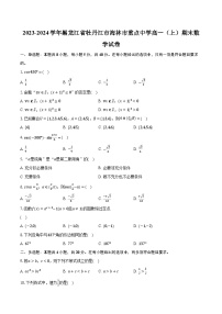 2023-2024学年黑龙江省牡丹江市海林市重点中学高一（上）期末数学试卷